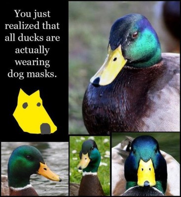 duck_dog_mask.JPEG